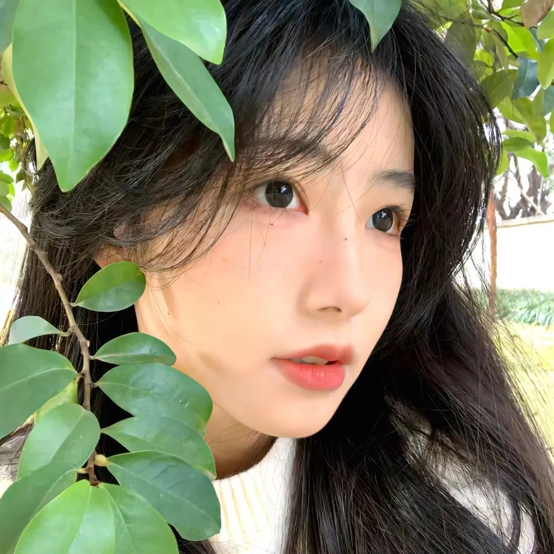 祇羡鸳鸯不羡仙